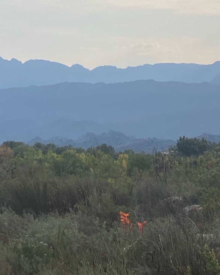 Groot Winterhoek Mountains