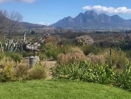 Cape Winelands Tour